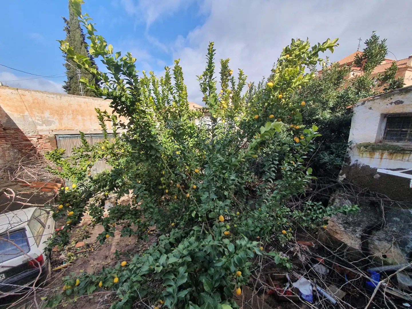 Casa con jardín en venta en Guadix, imagen 3