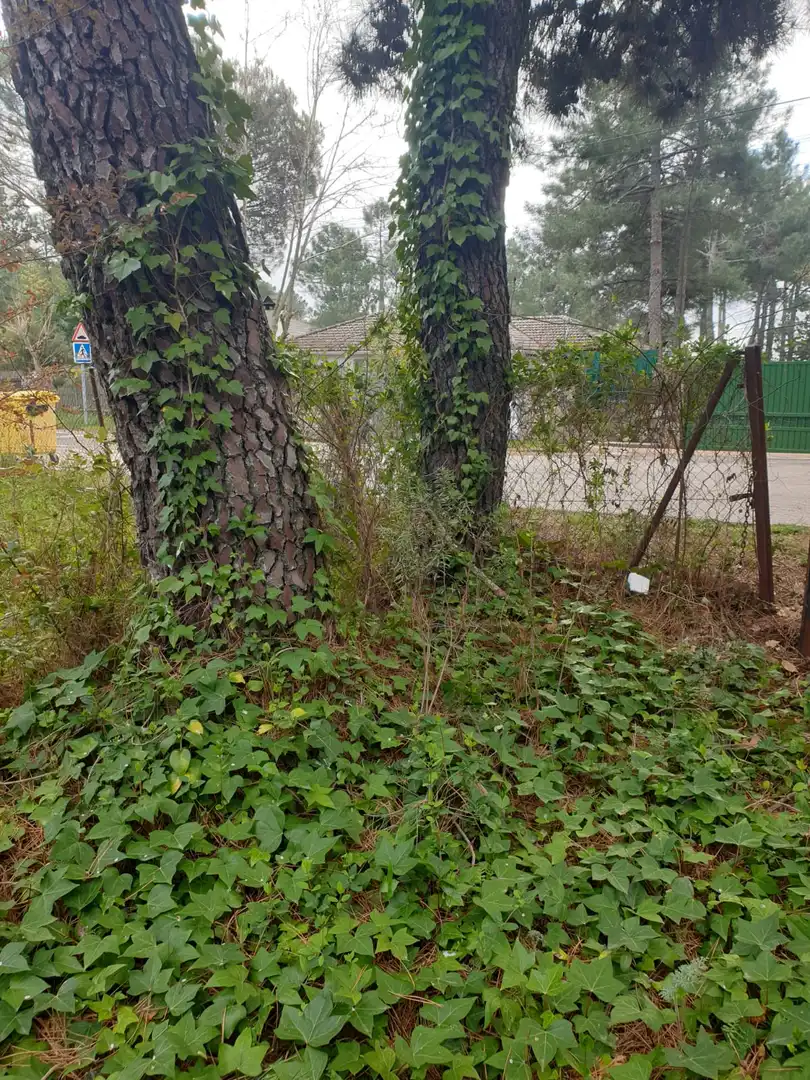 Residential land for sale in Avenida San Sebastián, imagen 5