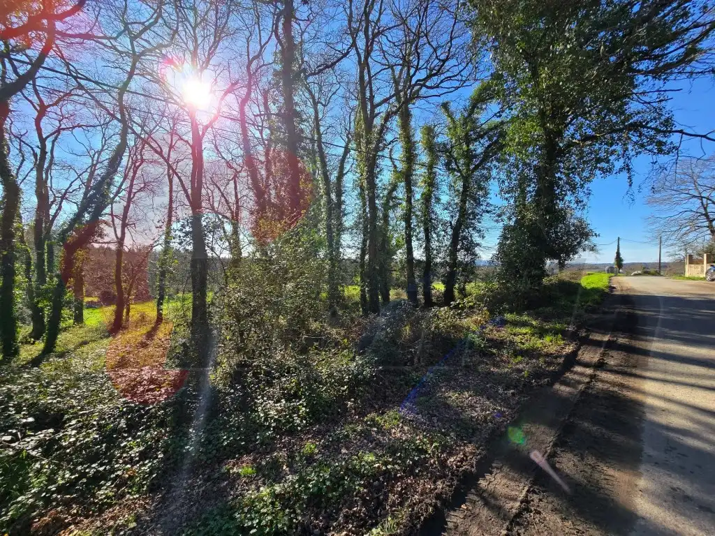 Grundstücke und Bauplätze zum Verkauf in Poligono 103 Paraje 14373 Peneliña, imagen 13