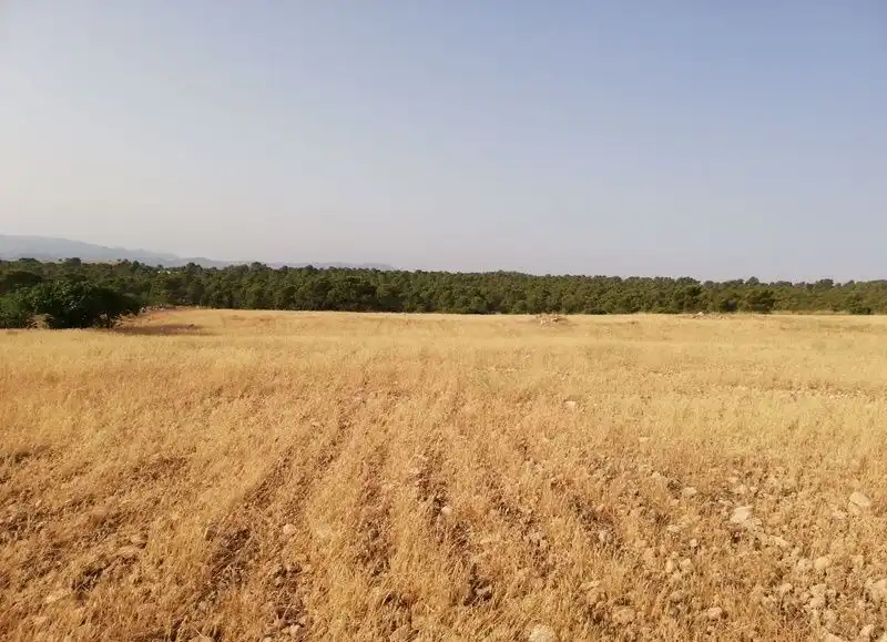 Rural land for sale in Aguica M Lorca 80, imagen 4