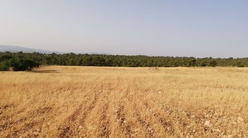 Foto 4 de Terreno en venta en Aguica M Lorca, 80, Fontanares, Lorca