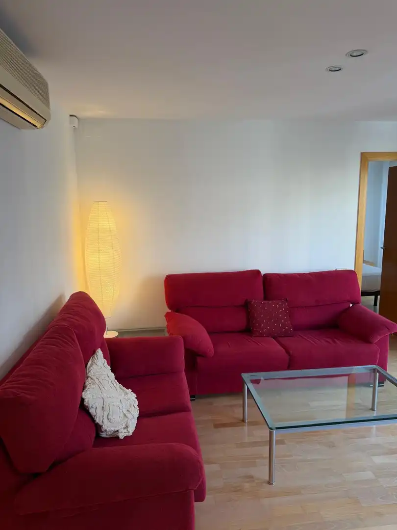 Wohnung mit Terrasse zum Verkauf in Carrer de Lepant, imagen 14