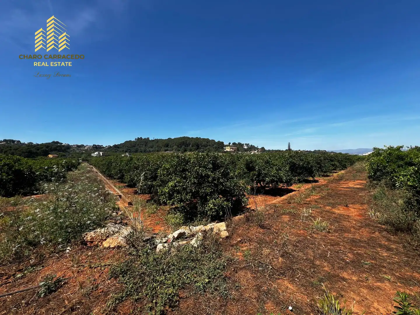 Terreno rústico en venta en Camí de la Murta-Ombria, imagen 15