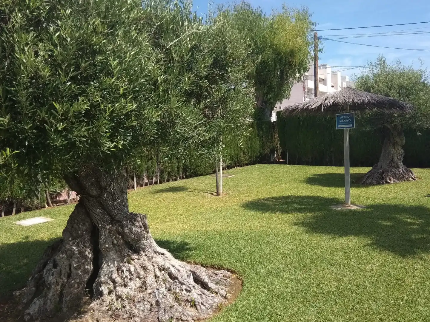 Wohnung mit Terrasse zum Verkauf in Carretera de les Marines a Dénia, imagen 25