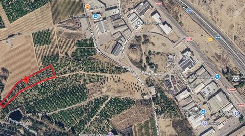 FINCA RÚSTICA EN BLANCA  LIMONEROS EN PRODUCCIÓN Y PARA CONSTRUIR VIVIENDA