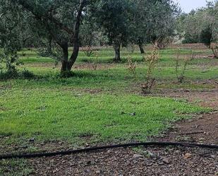 Country house for sale in Carretera Carretera d'Alcolea del Pinar, Ponent