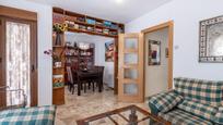 Sala d'estar de Pis en venda en  Granada Capital amb Calefacció, Parquet i Terrassa