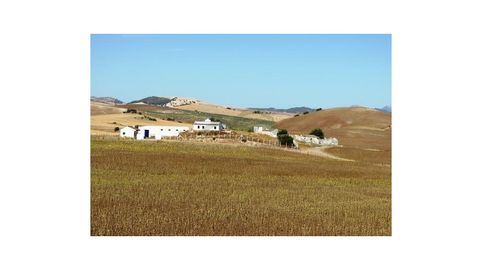 Cortijo Ecuestre, 100 h, Casa, Casita, Cortijo