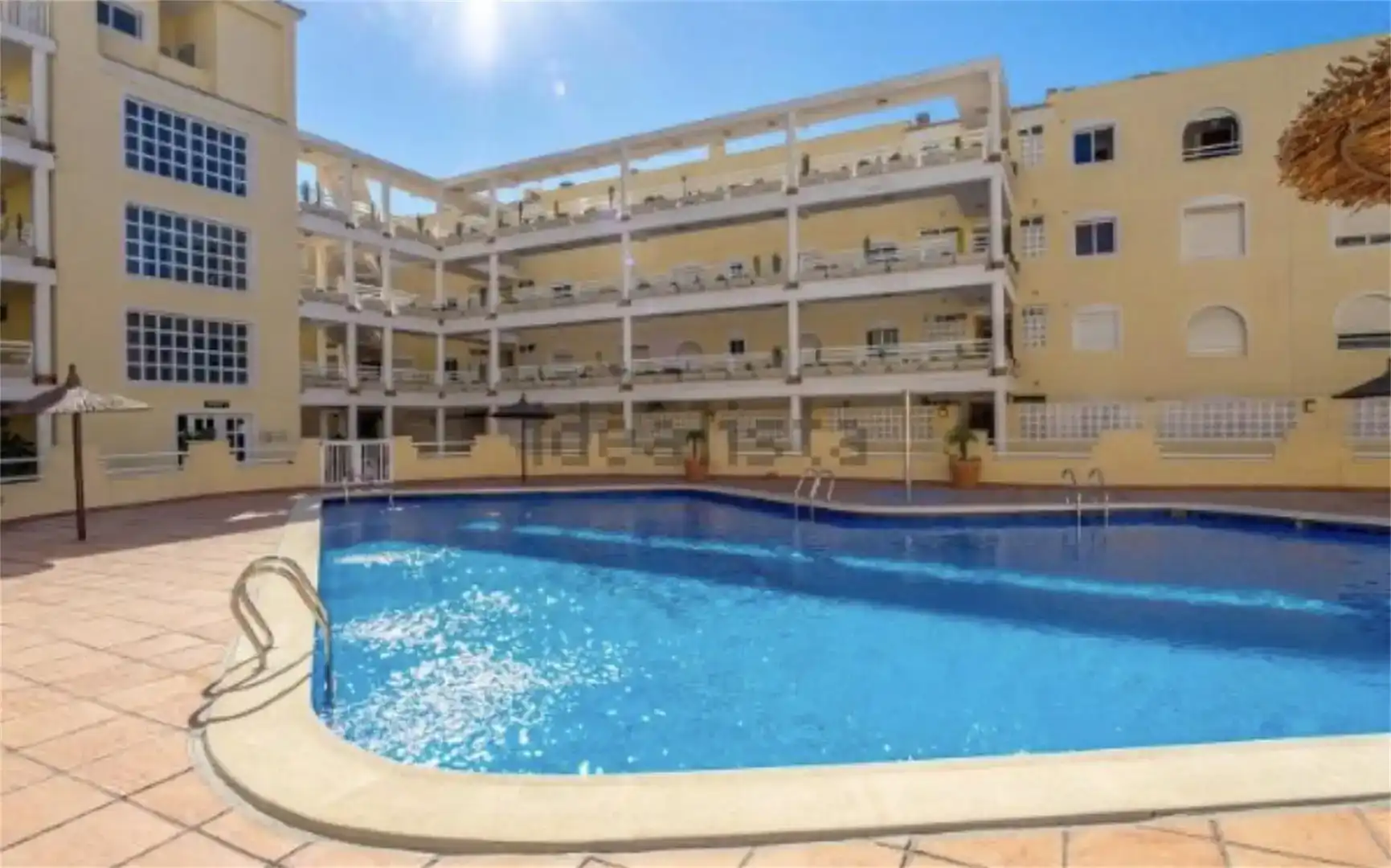 Swimming pool of Flat for rent in Orihuela  with Swimming Pool, Furnished and Oven
