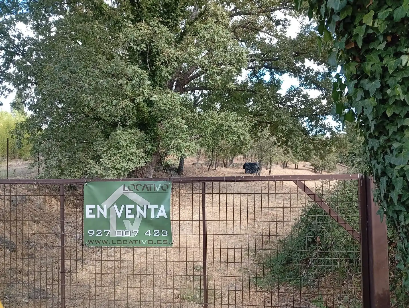 Terreni e lotti in vendita a Villanueva de la Vera, imagen 10