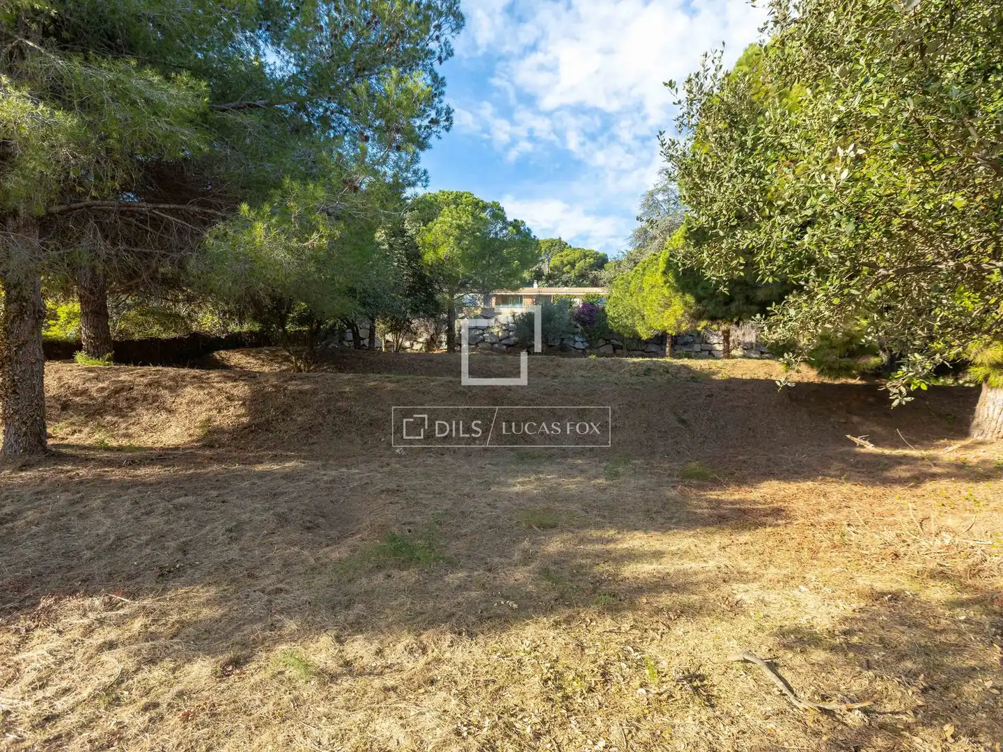 Terrain rustique à vendre à Cabrera de Mar, imagen 14