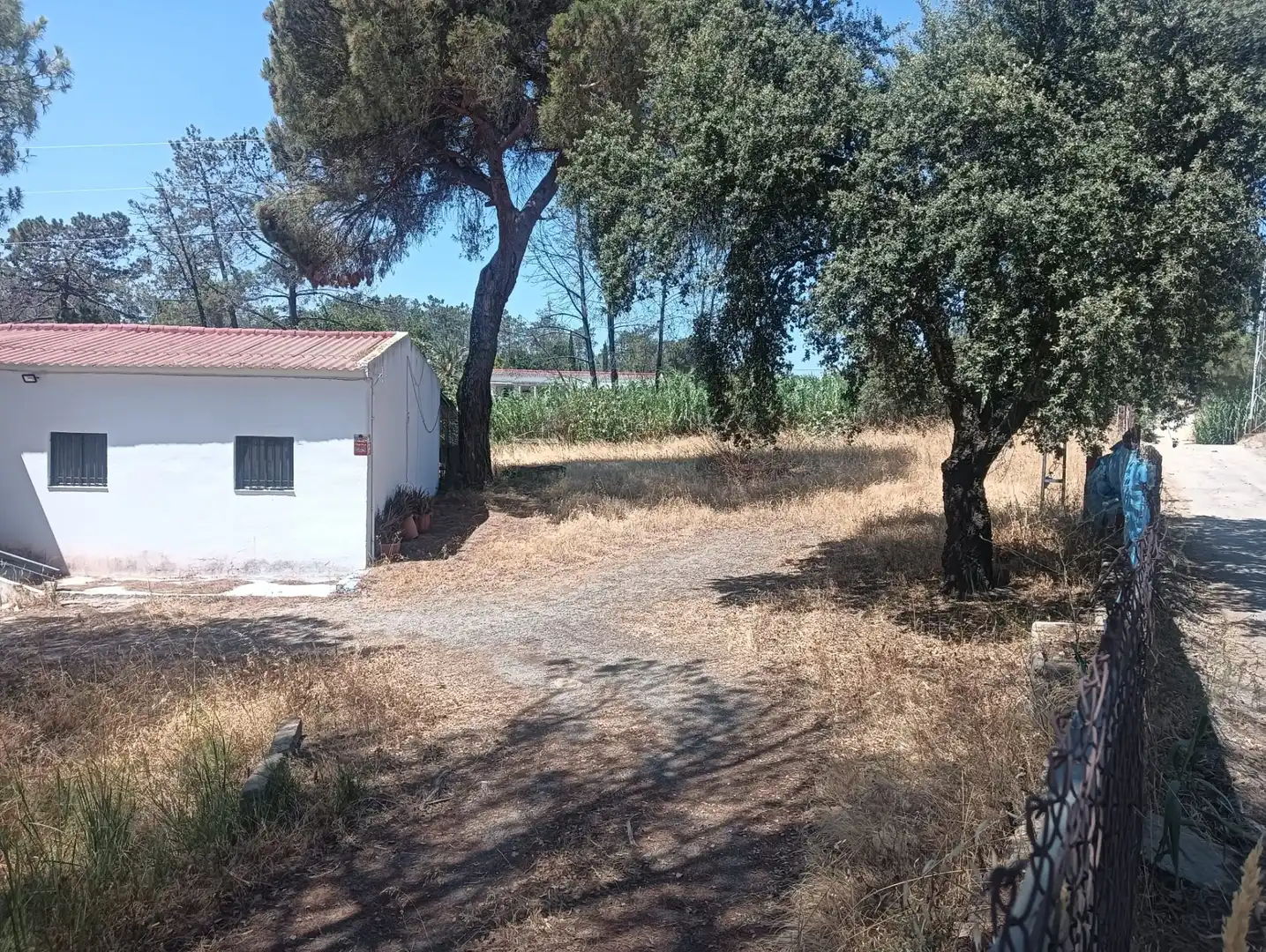 Maison rustique à vendre à Carretera Gibraleón, imagen 2