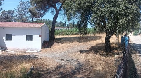 Foto 2 de Finca rústica en venta en Carretera Gibraleón, El Carmen - Cardeñas, Huelva Capital