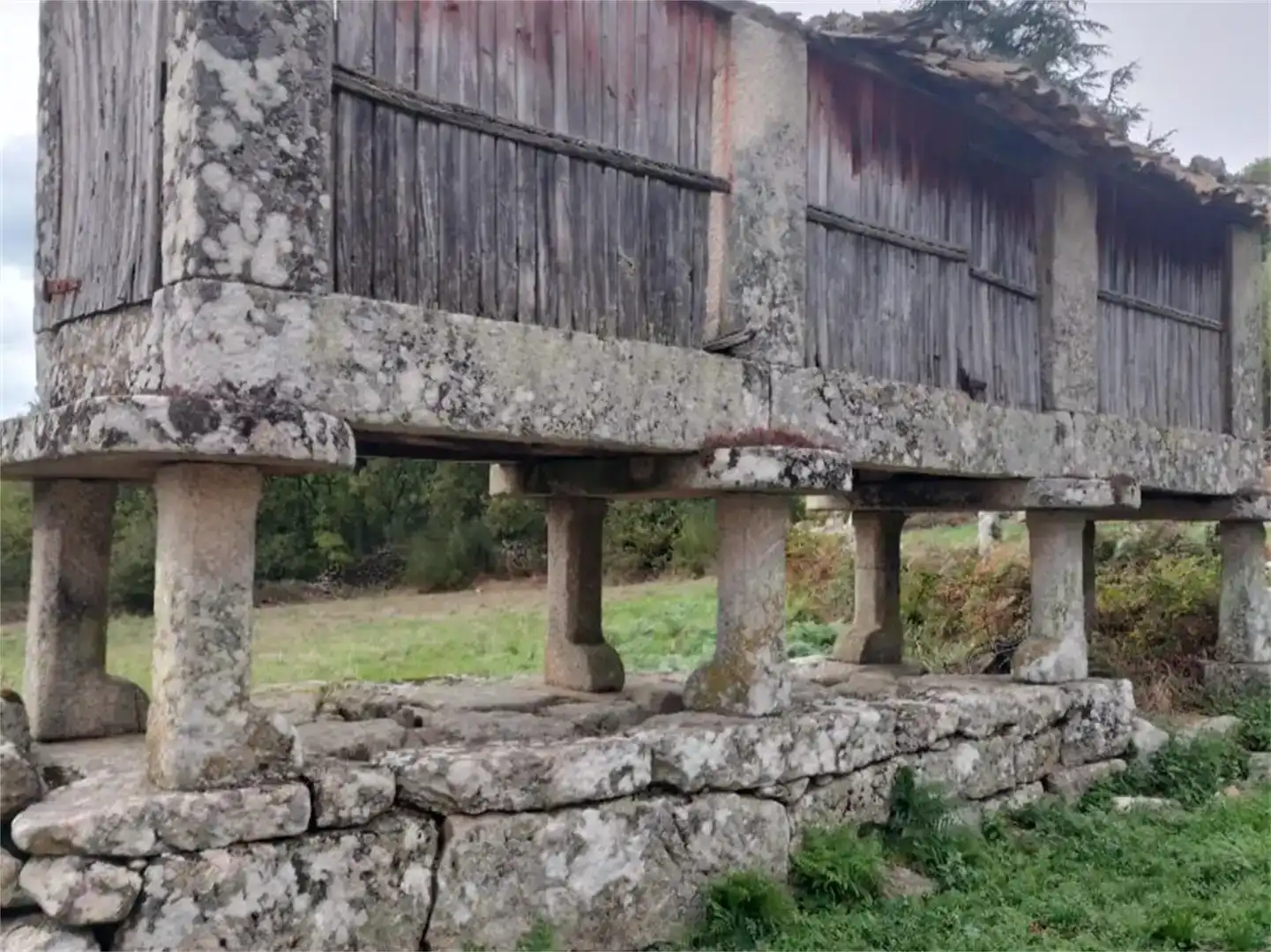 Vista exterior de Pis en venda en Nogueira de Ramuín amb Jardí privat i Traster