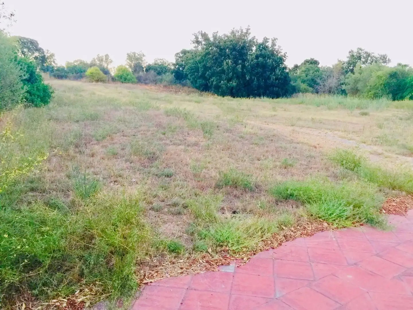 Terreno residenziale in vendita a Peralada, imagen 3