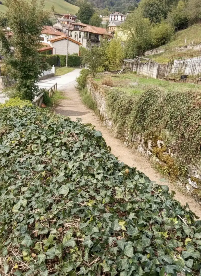 Außenansicht von Residential zum Verkauf in Aller