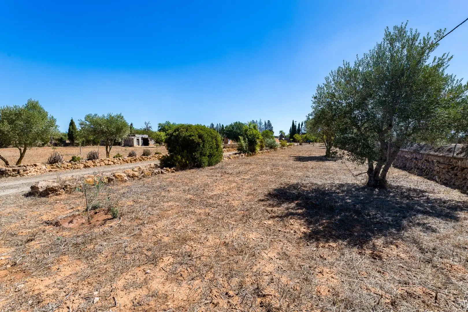 Rustikales Grundstück zum Verkauf in Llucmajor pueblo, imagen 41