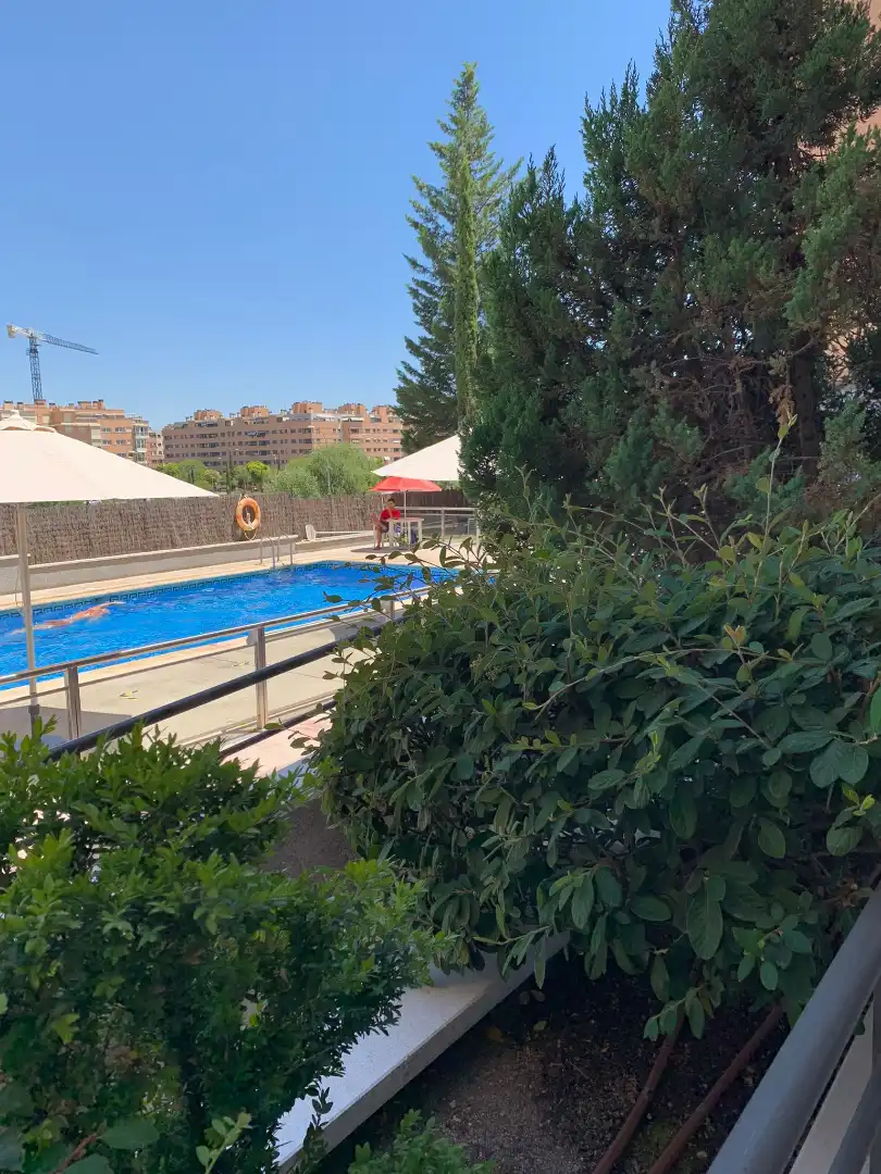 Swimming pool of Flat for rent in Madrid  with Air Conditioner, Heating and Parquet flooring