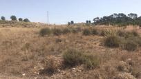 Land for sale in Abanilla