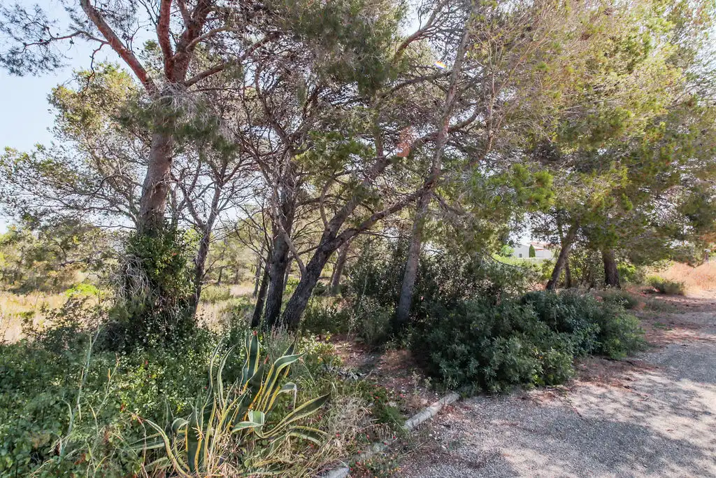 Terreno en venta en L'Ametlla de Mar 