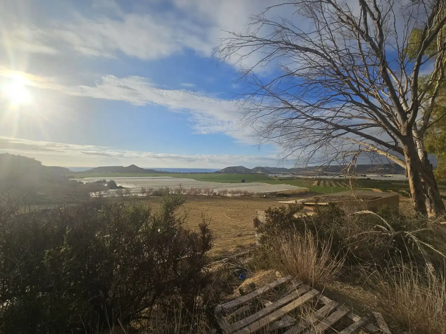 Finca rústica en venta en Águilas