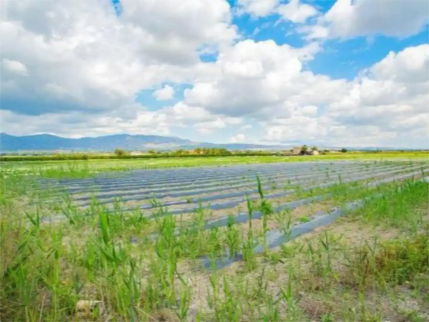 Finca rústica en venda en San Isidro