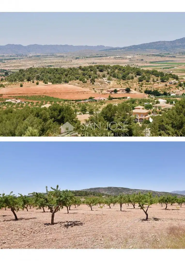 Finca rústica en venta en El Pinós / Pinoso con Jardín privado, Piscina y Amueblado