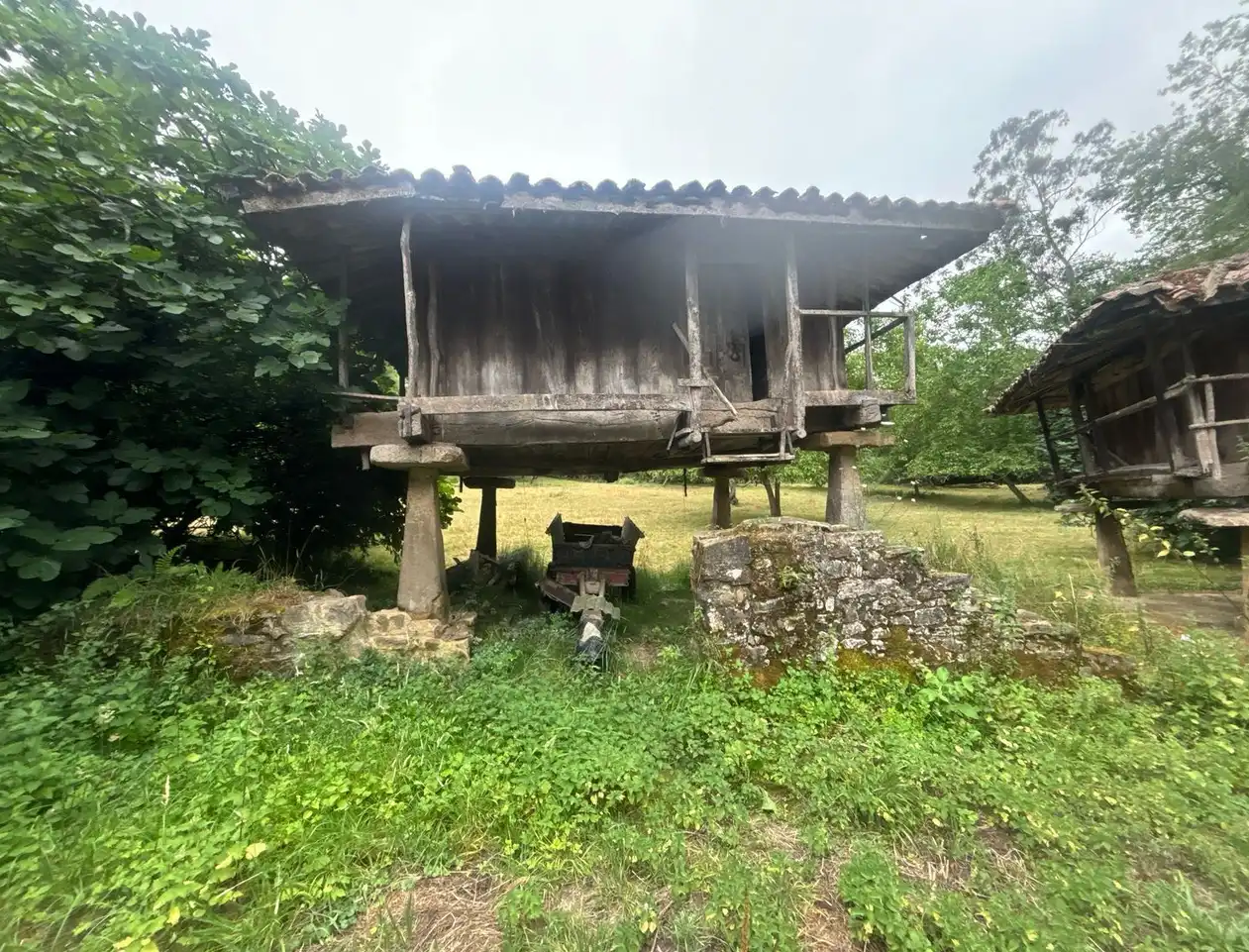 Vista exterior de Finca rústica en venda en Gijón  amb Jardí privat