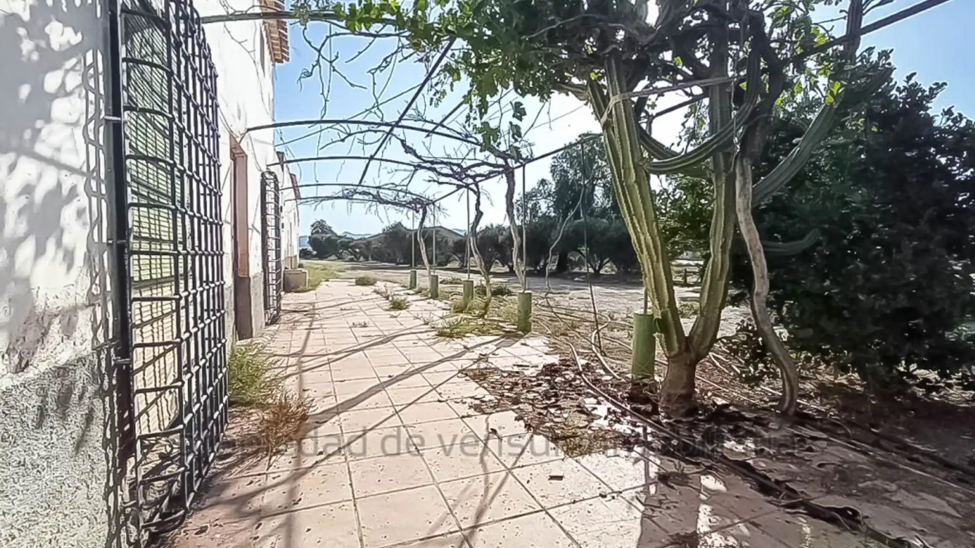 Country homes for sale in Lorca