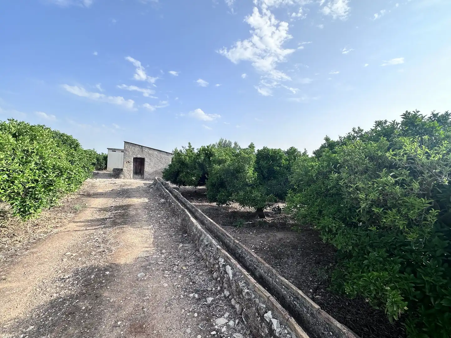 Terreno rustico in vendita a Pego, imagen 6
