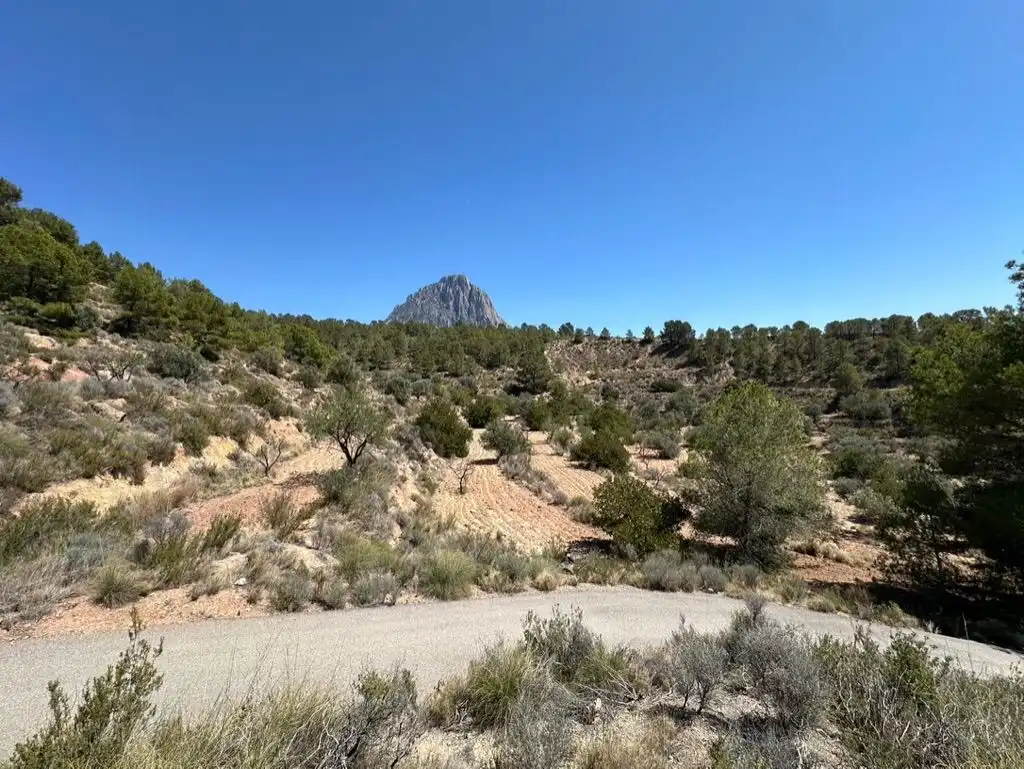 Terreno rustico in vendita a LA SIMA, imagen 7