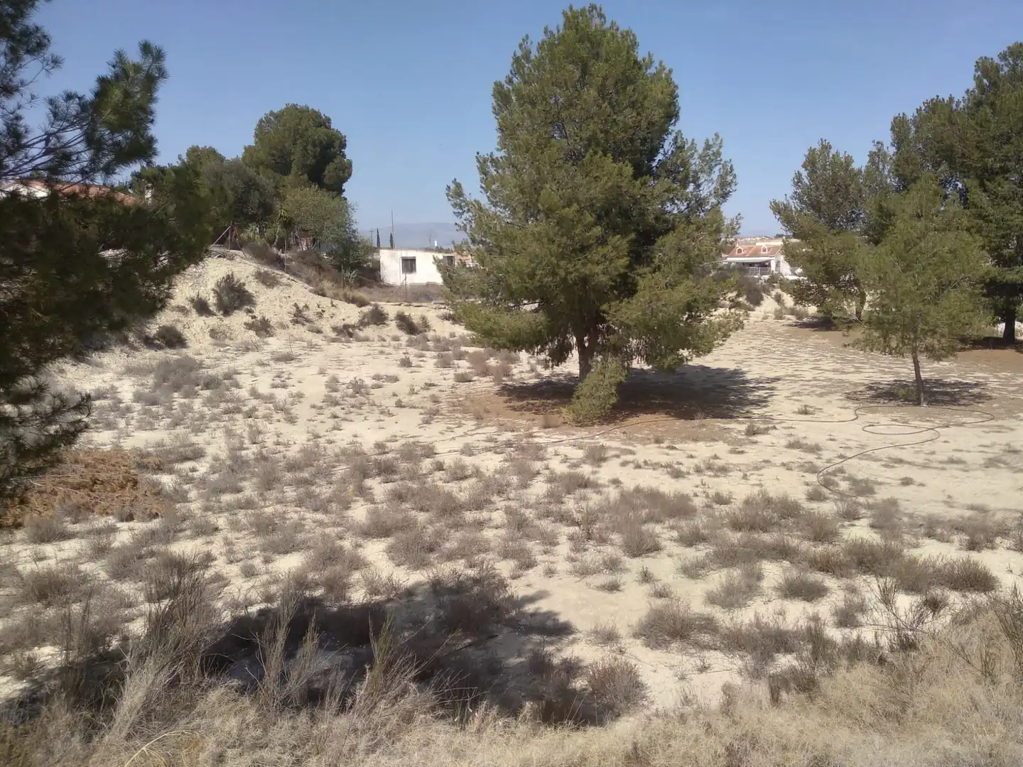 Terreni e lotti in vendita a Campos del Río, imagen 4