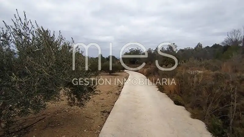 Rustikales Grundstück zum Verkauf in CANA MURTA 0, imagen 7