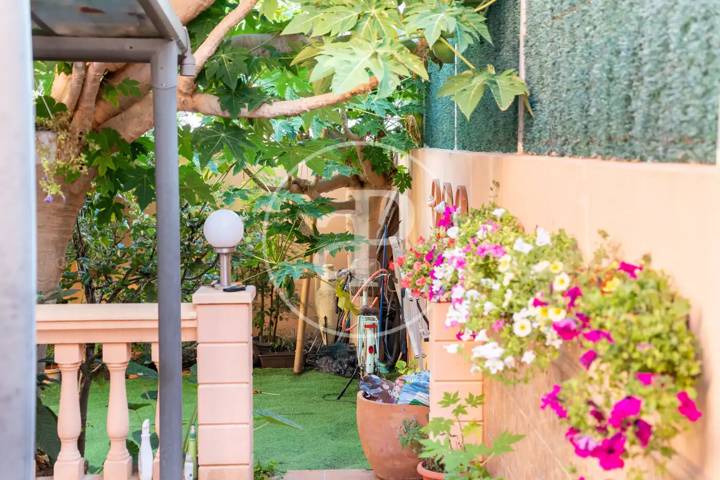 Jardí de Casa adosada en venda en  Palma de Mallorca amb Moblat