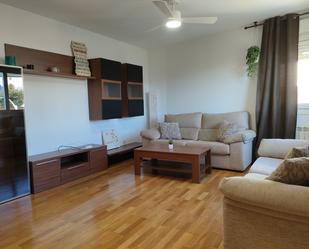 Living room of Flat to rent in Noáin (Valle de Elorz) / Noain (Elortzibar)