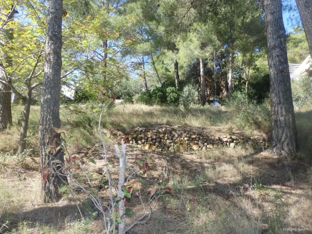 Terreno residenziale in vendita a Riudecanyes, imagen 13