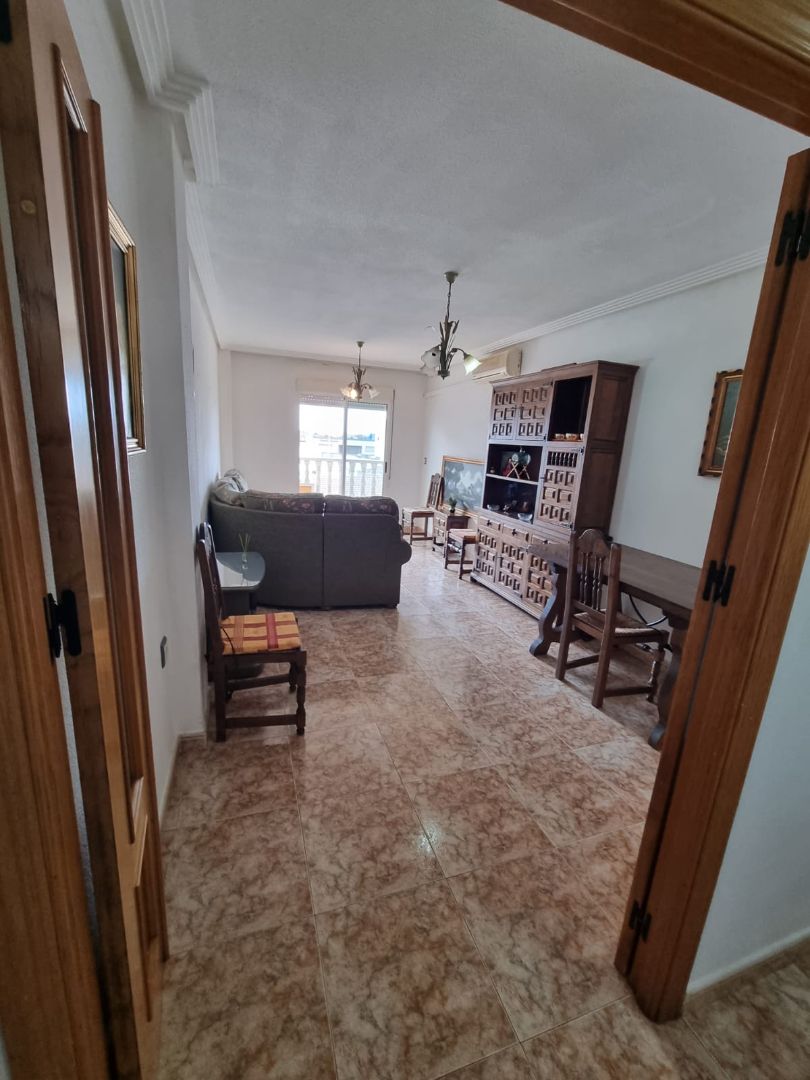 Sala d'estar de Apartament en venda en Catral amb Aire condicionat, Forn i Rentadora
