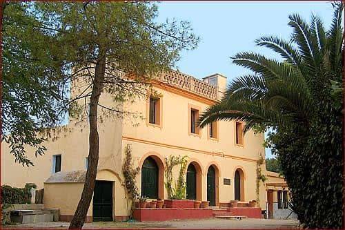 Finca rústica en Venta en Carrer del Molí, 29A en Torrelavit