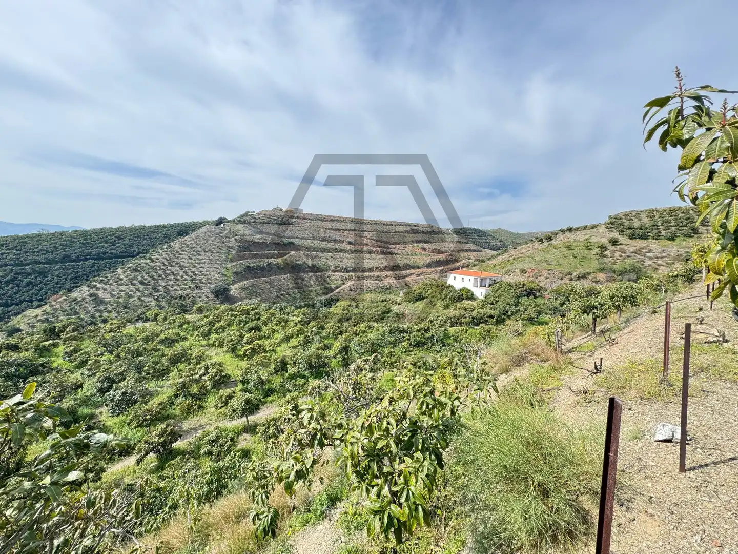 Rustikales Grundstück zum Verkauf in Atalaya Baja, imagen 8