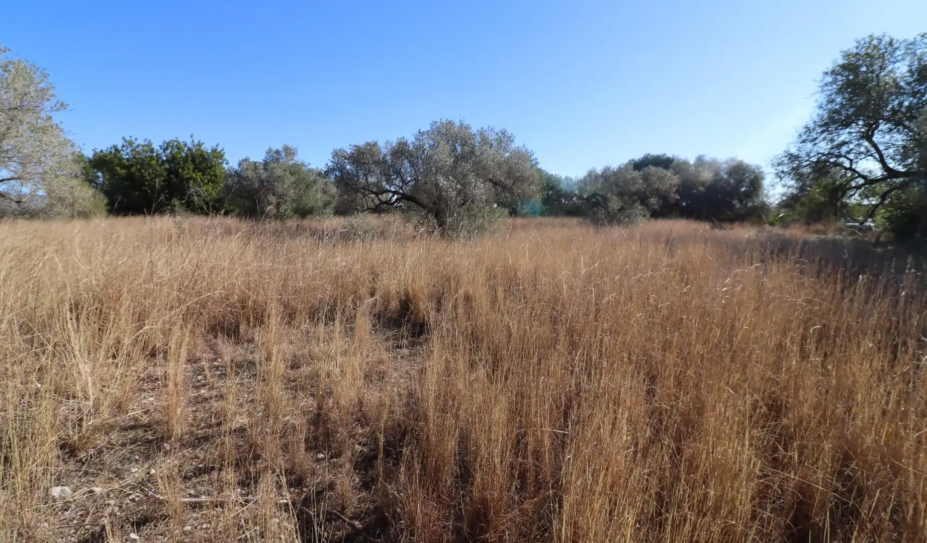 Rural land for sale in Partidas de interior - Zona Rústica, imagen 13