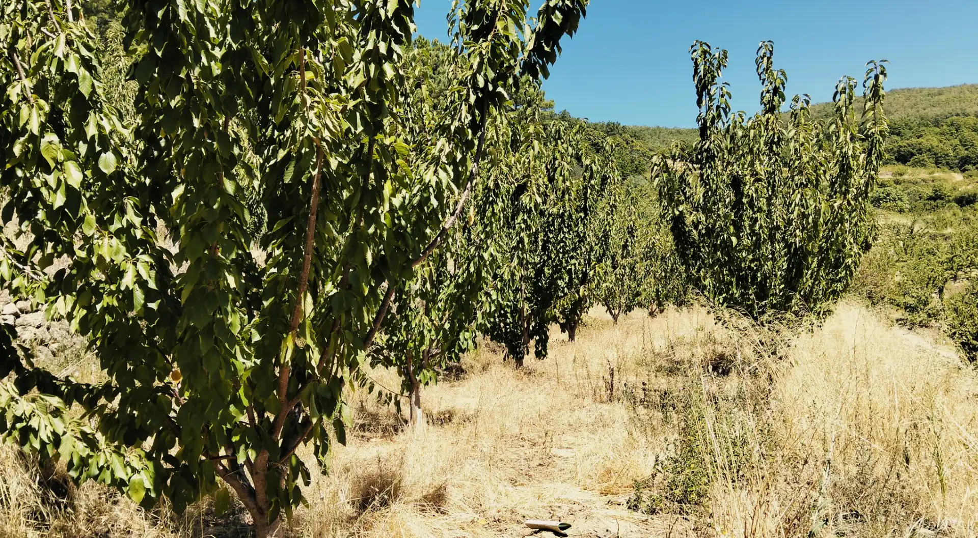 Terreni e lotti in vendita a N/A, imagen 18
