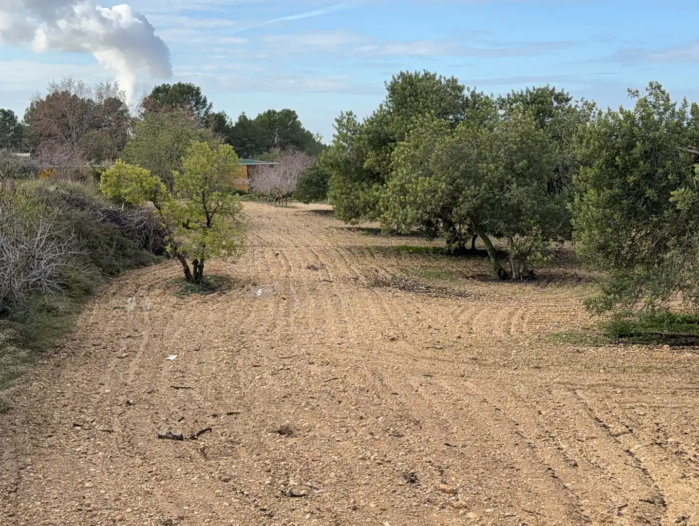 Terrain rustique à vendre à Cami Futbol 14A, imagen 14