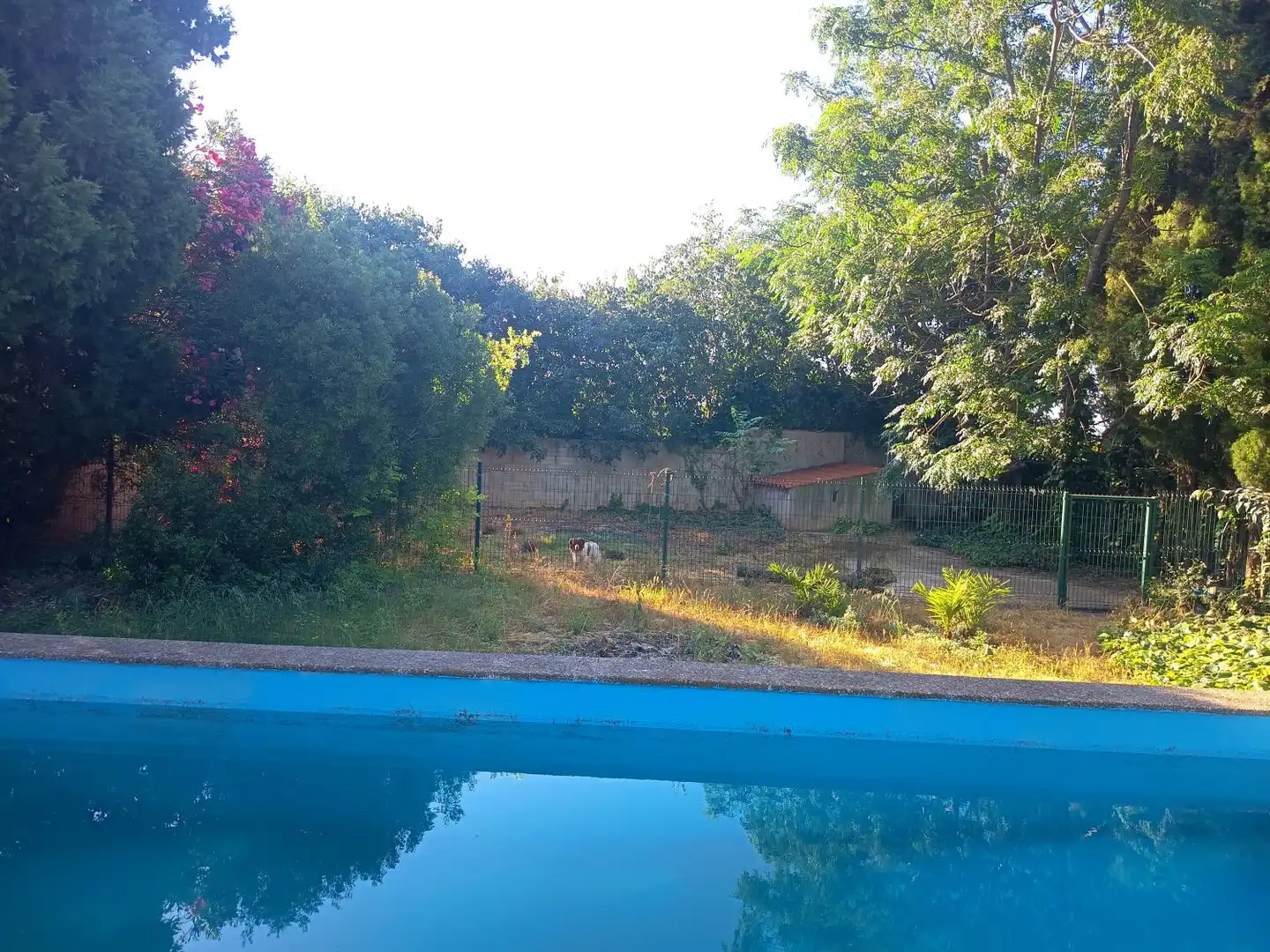 Casa rústica con piscina en venta en El Banyador, imagen 11