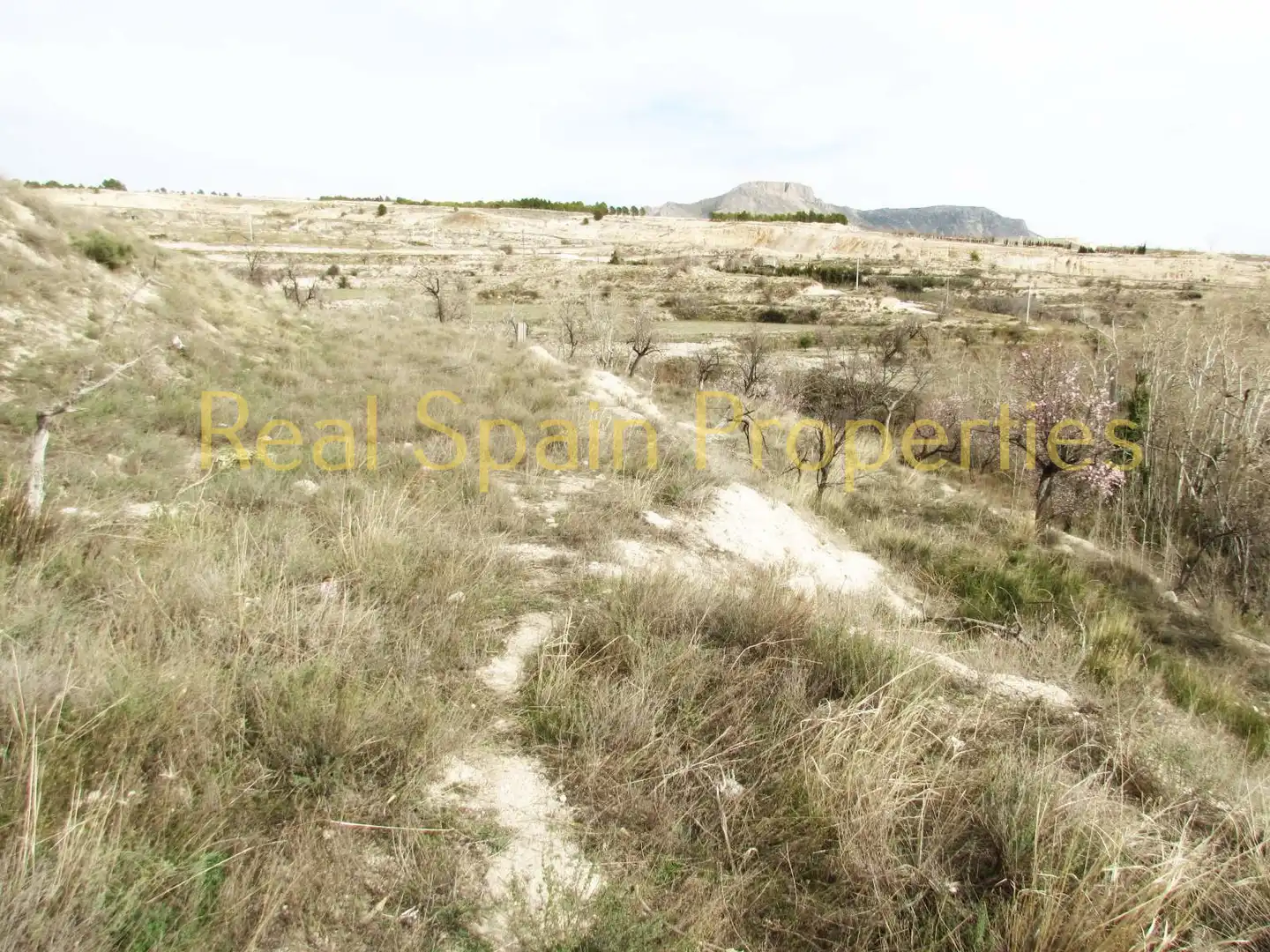 Terrenos y solares en venta en Vélez-Blanco, imagen 7