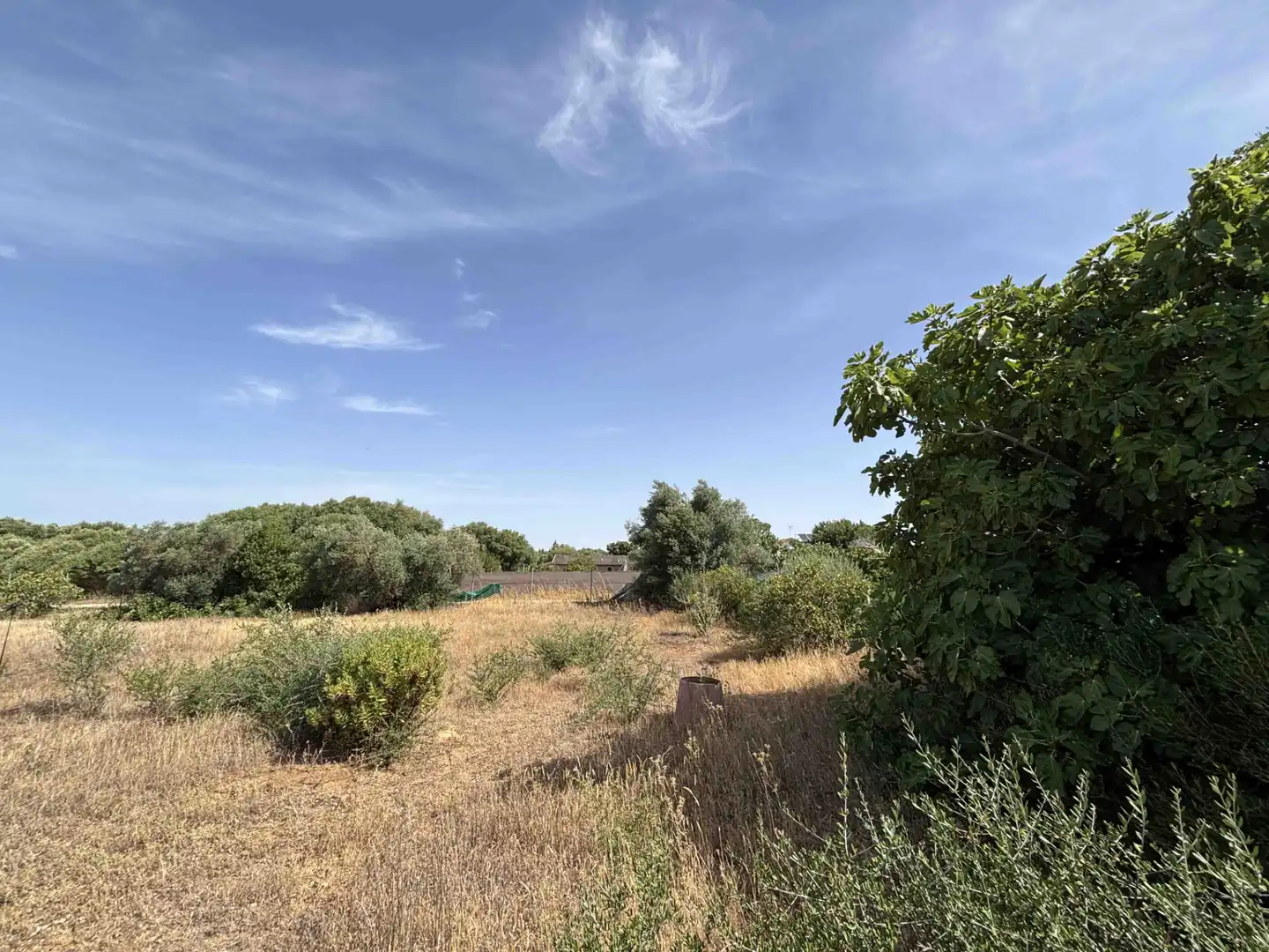 Terreny rústic en venda a Medina Sidonia, imagen 25