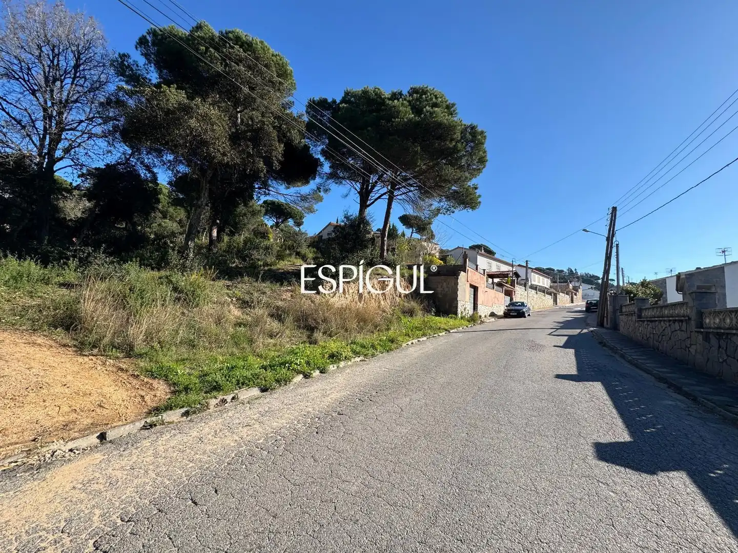 Terreno rústico en venta en Arboç, imagen 15