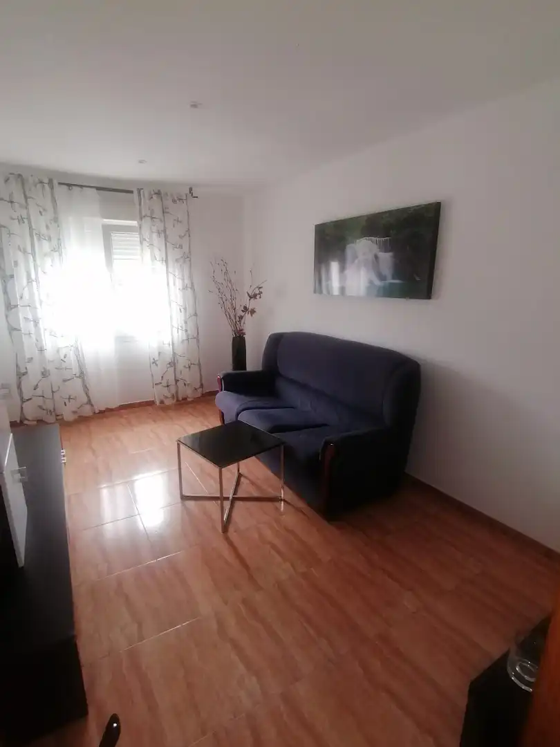 Living room of Flat for rent in Gijón   with Heating, Parquet flooring and Furnished