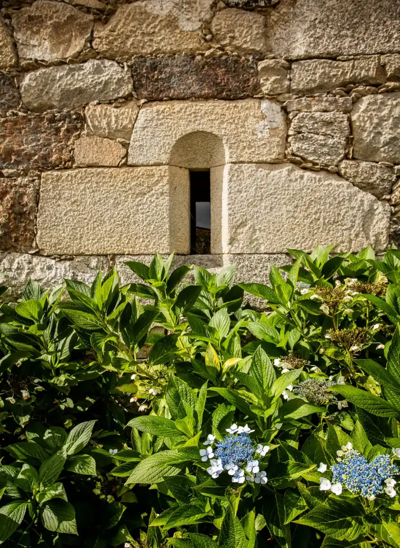 Vista exterior de Finca rústica en venda en Chantada amb Aire condicionat, Calefacció i Jardí privat