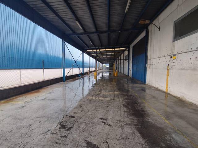 Nave industrial en Alquiler en Almussafes