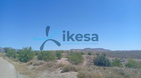 VENTA DE TERRENO RÚSTICO EN ALBOX ALMERÍA, immagine 5